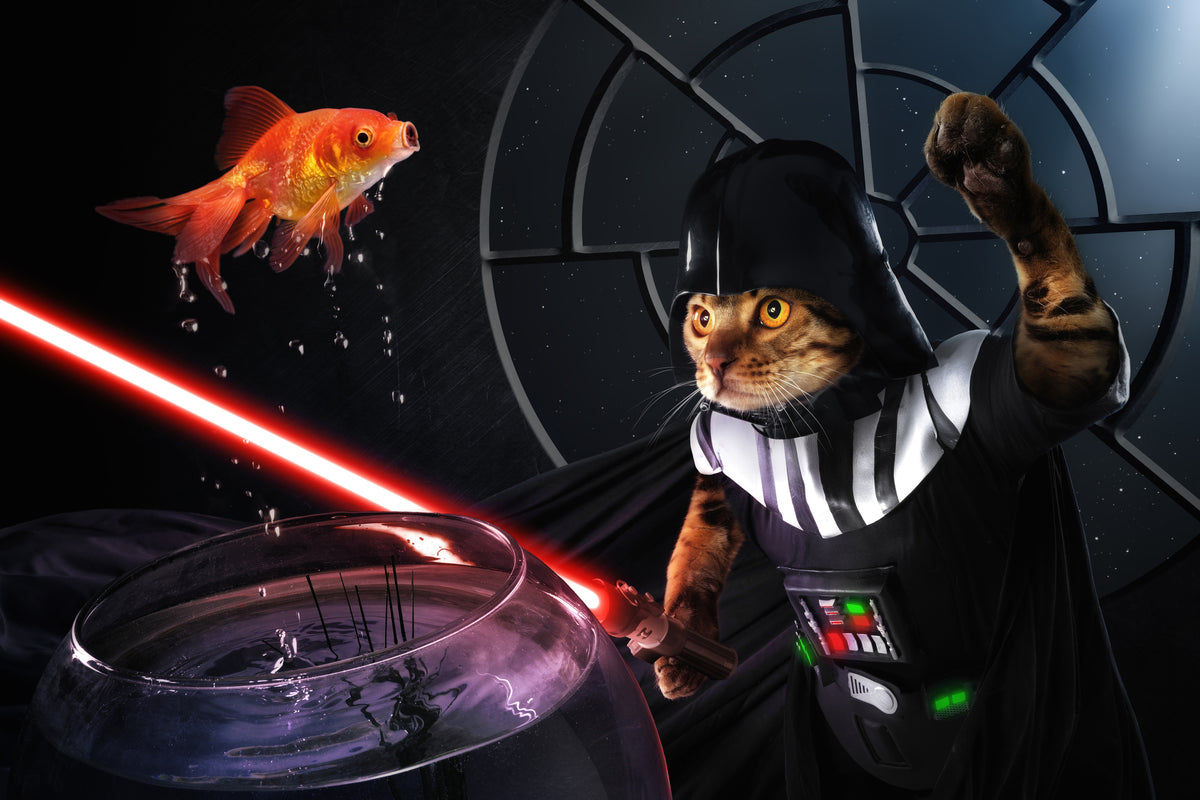 poster-print-darth-sushi