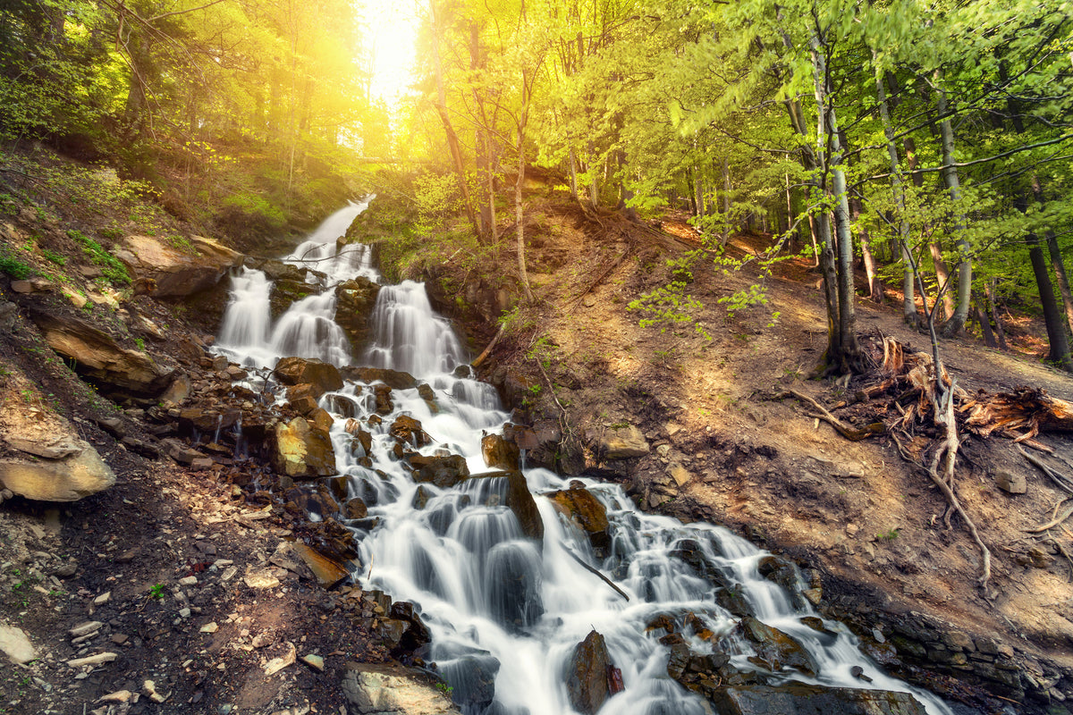 canvas-print-natural-beauty