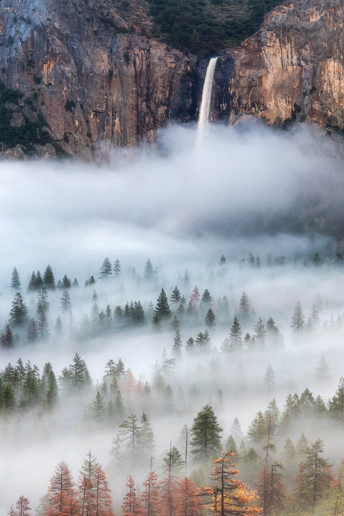 framedcanvas-print-mist-falls