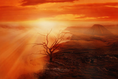 poster-print-colorful-landscape