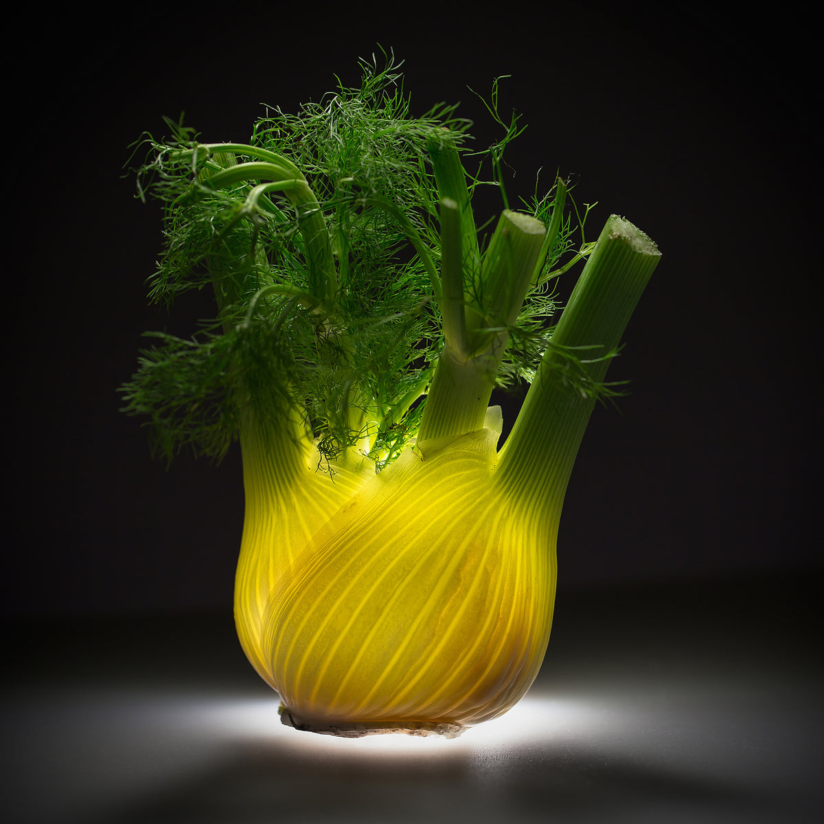 poster-print-fennel