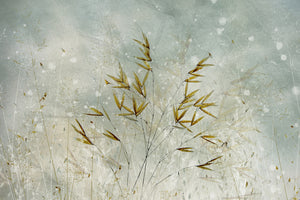 framedposter-print-wintertime-x
