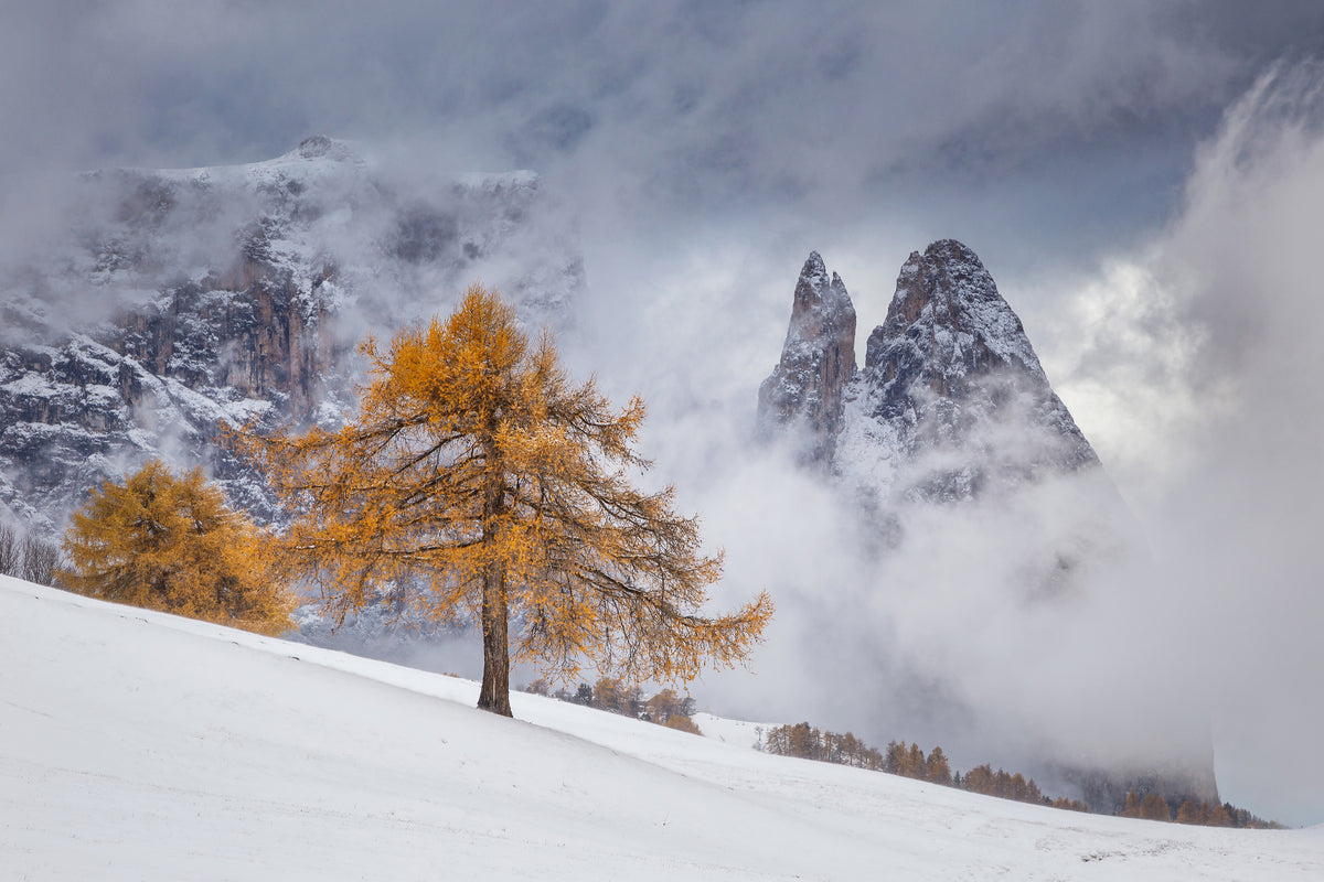 poster-print-between-seasons-x