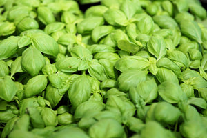 modern-3-piece-canvas-print-all-basil