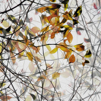 poster-print-autumn-song