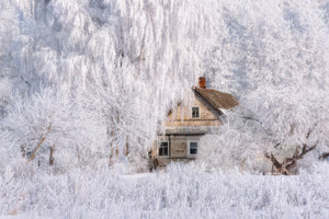 framedcanvas-print-winter-tale-x