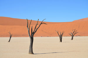 framedposter-print-sossusvlei-namibia