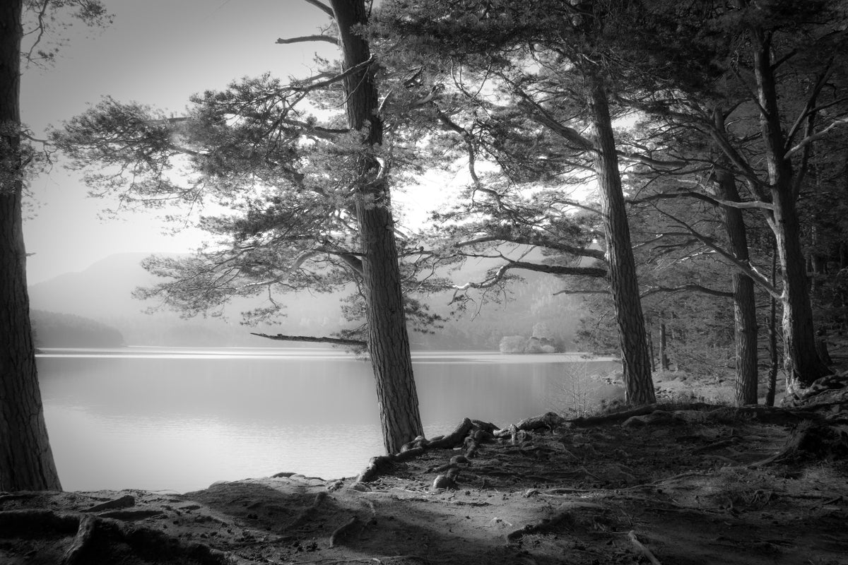 modern-3-piece-canvas-print-loch-an-eilein