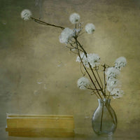 acrylic-print-books