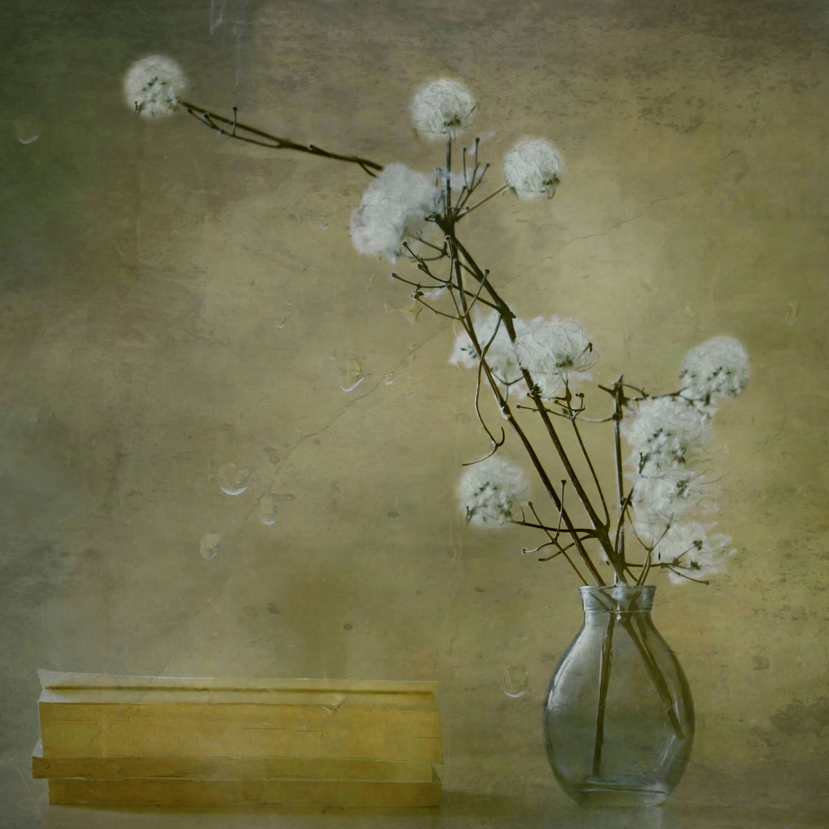 acrylic-print-books