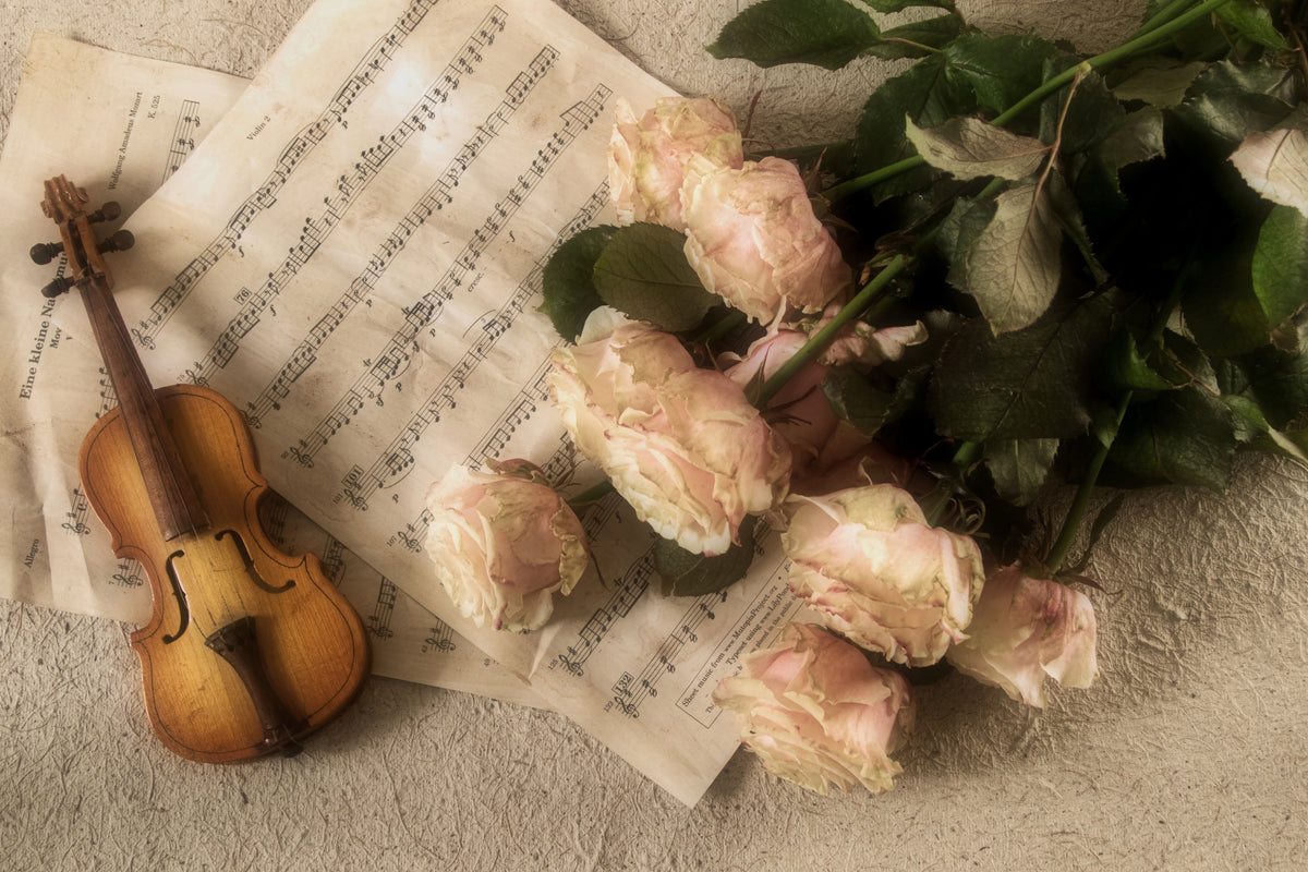 3-piece-canvas-print-the-violin