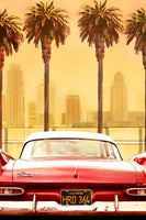 canvas-print-plymouth-savoy-with-palms