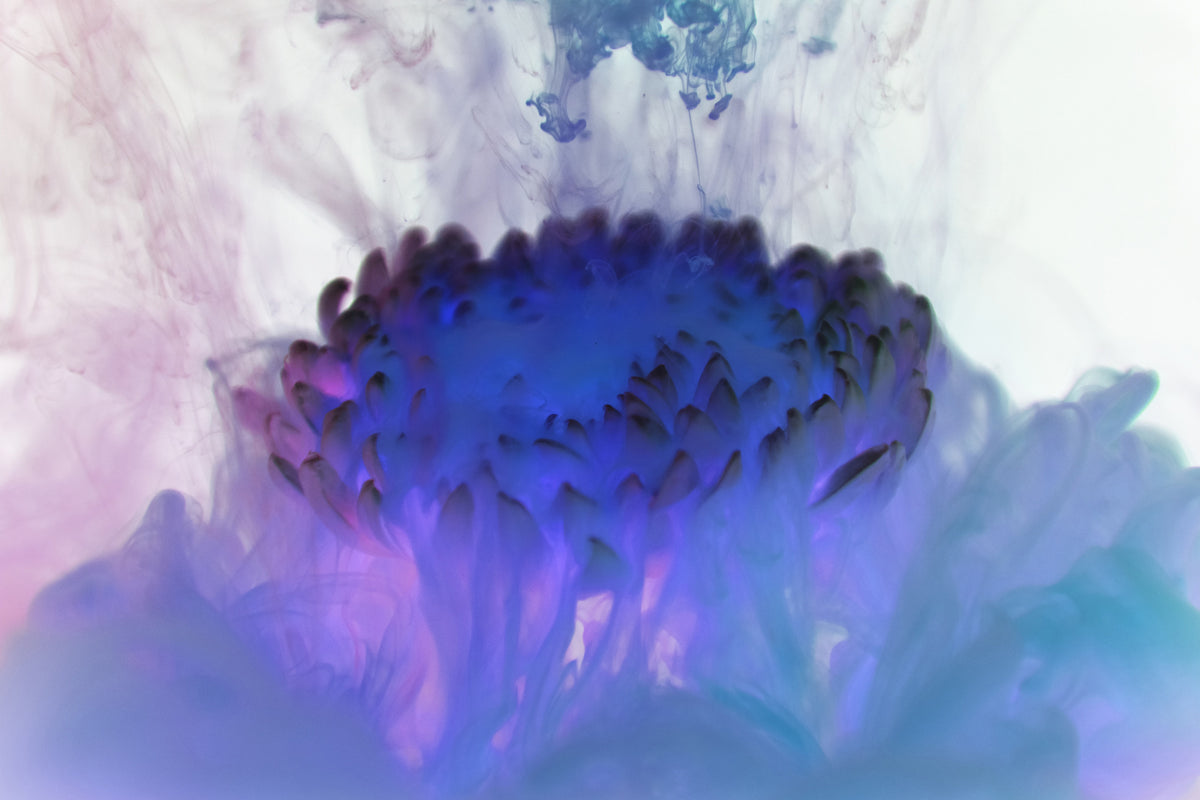 3-piece-canvas-print-floating-art-ii