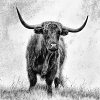 acrylic-print-la-force-x