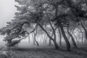 acrylic-print-always-x