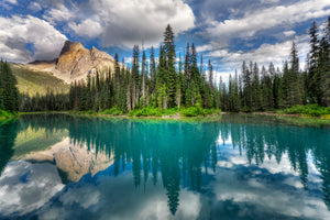 canvas-print-emerald