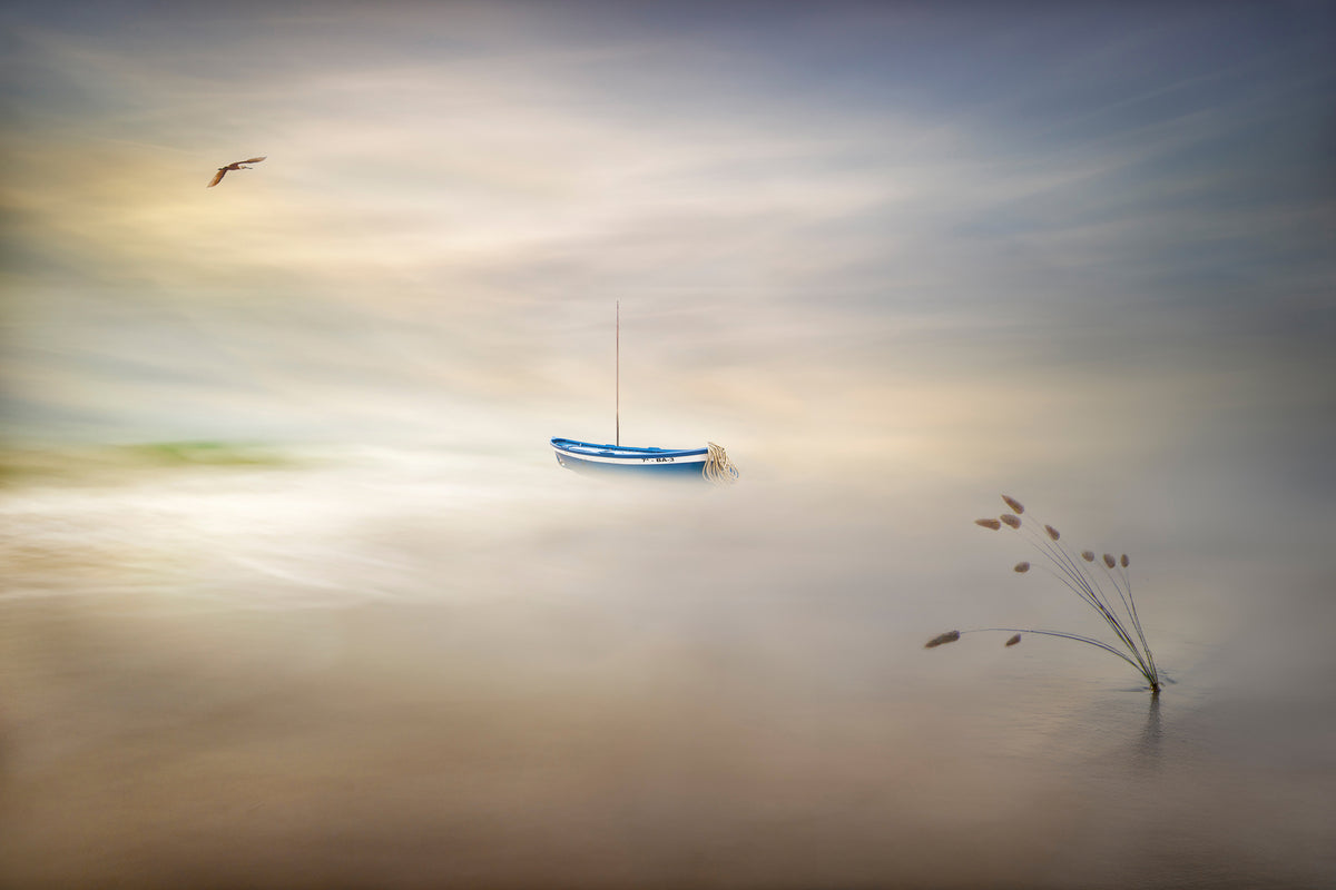aluminium-print-dreaming-of-the-sea-x