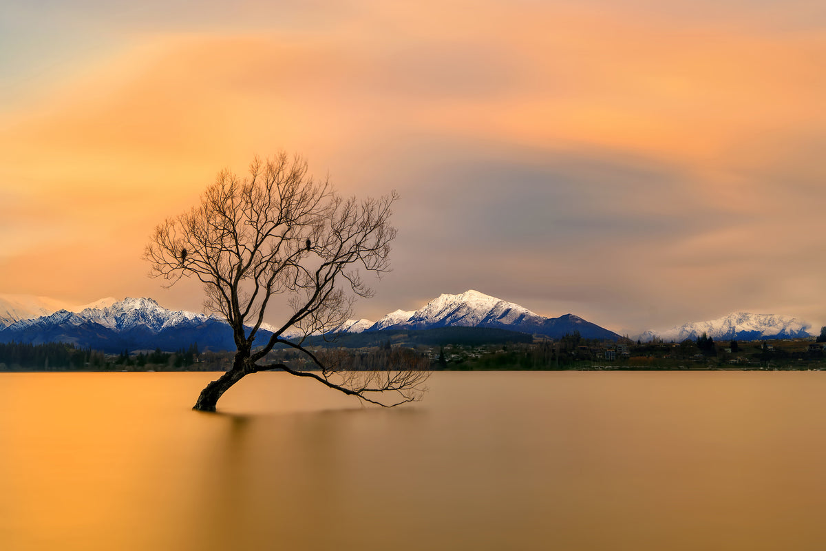 poster-print-morning-glow-of-the-lake-wanaka