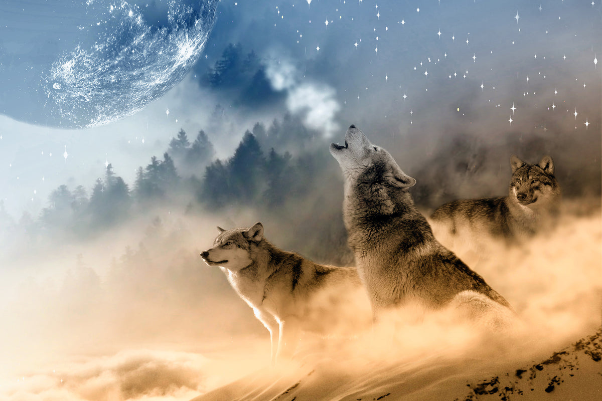 framedcanvas-print-the-world-of-wolves