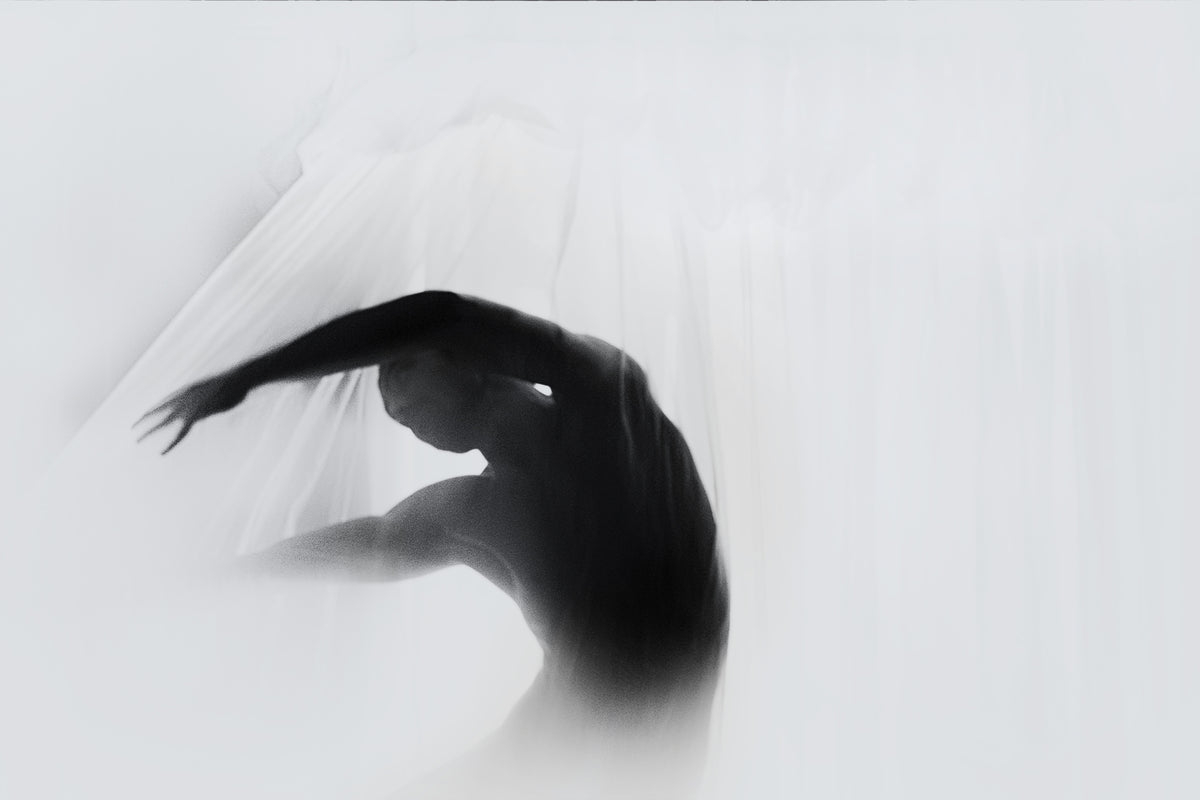poster-print-the-dance-of-silence