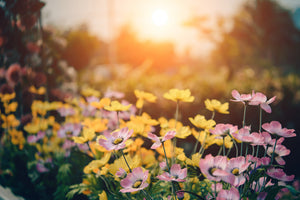 canvas-print-the-flowers
