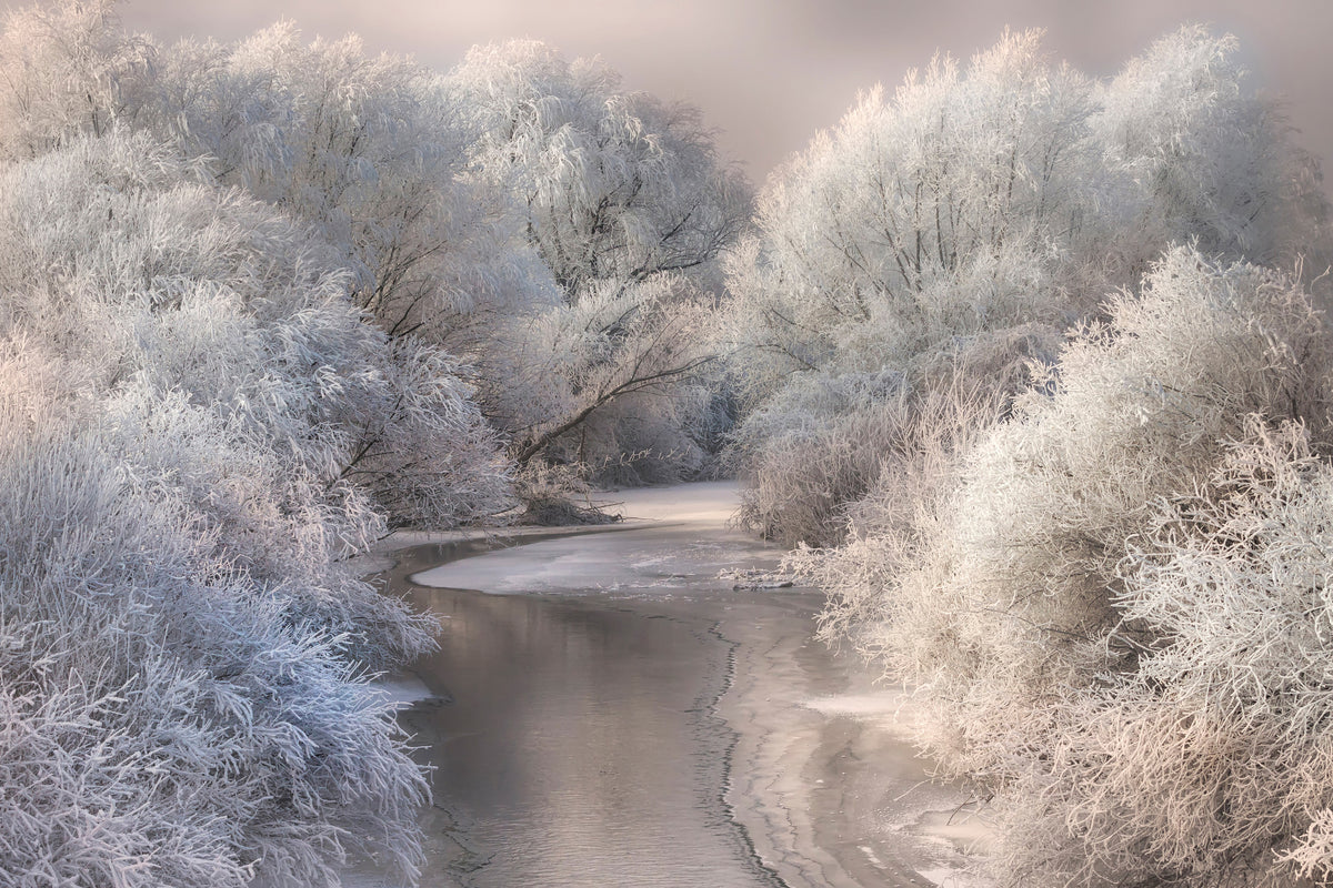 acrylic-print-winter-song-x