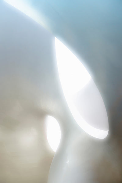 poster-print-organic-shapes