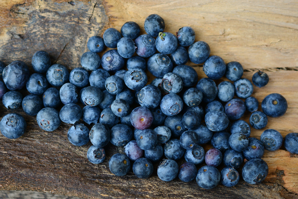 aluminium-print-fresh-blueberries