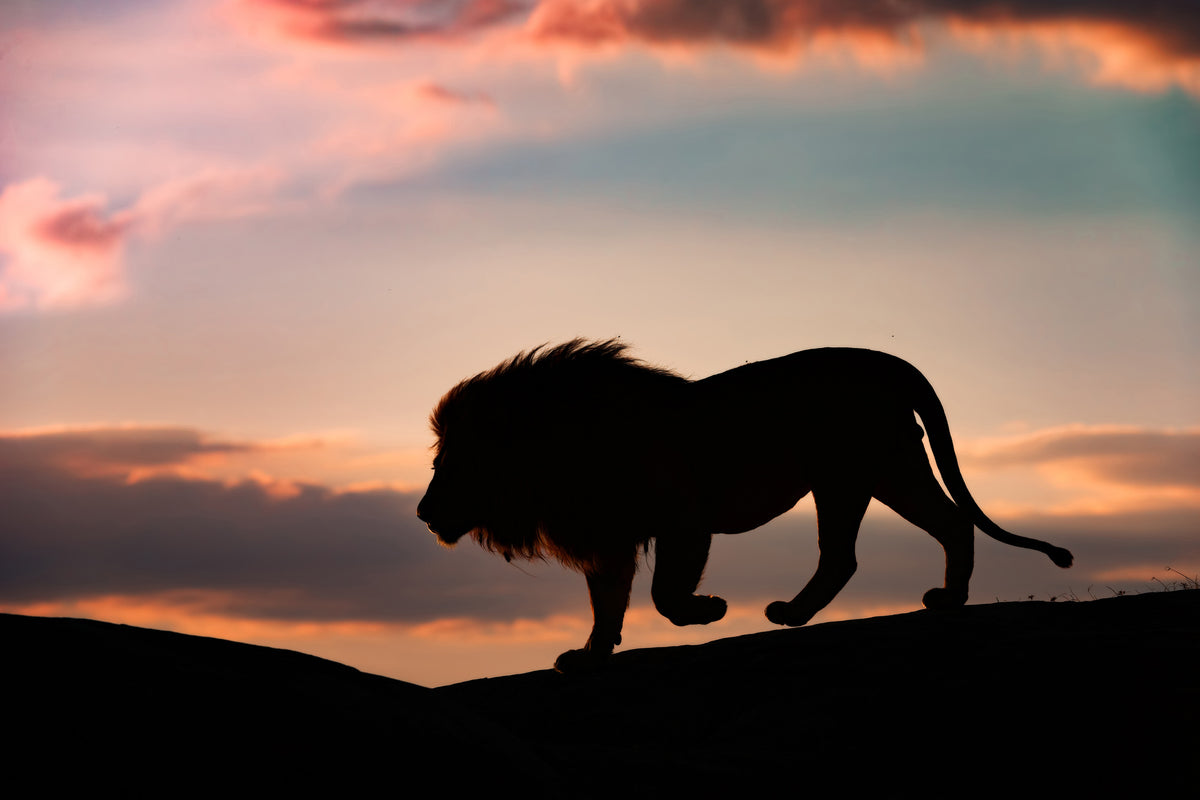 canvas-print-sunset-in-the-serengeti-x