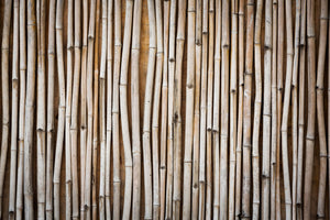 acrylic-print-dried-bamboos