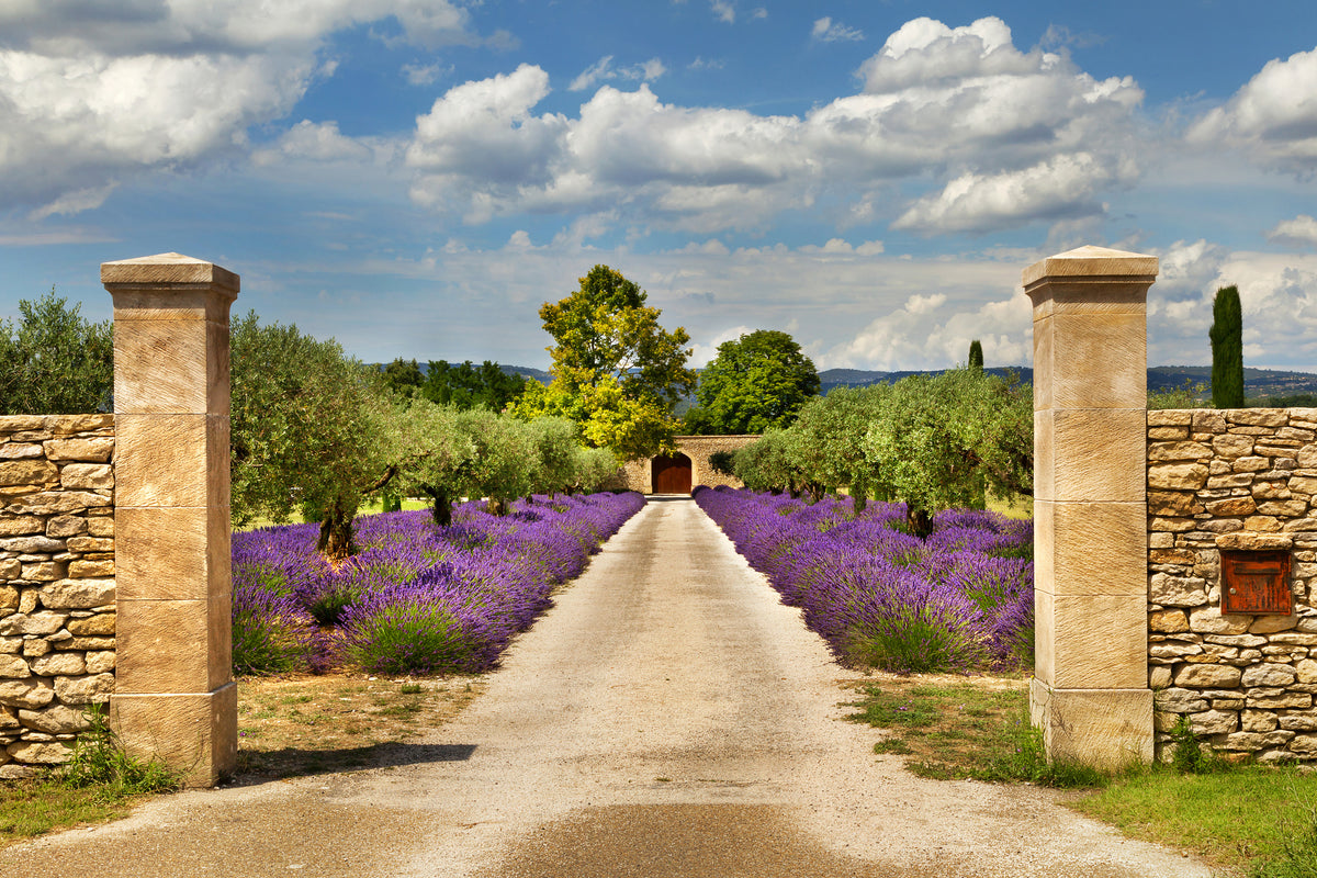aluminium-print-lavender-garden