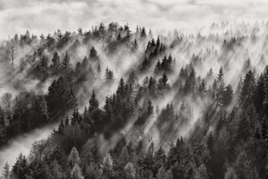 acrylic-print-sundance-no-i