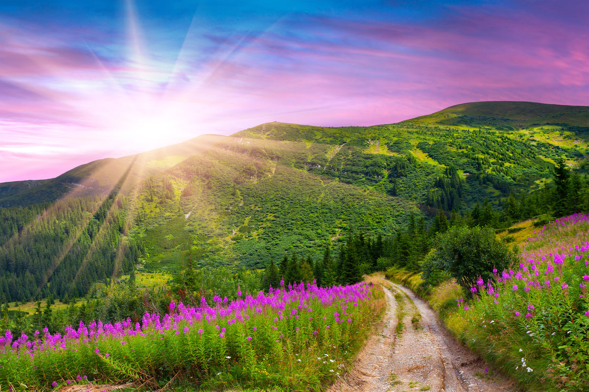 acrylic-print-a-summer-landscape-at-sunrise