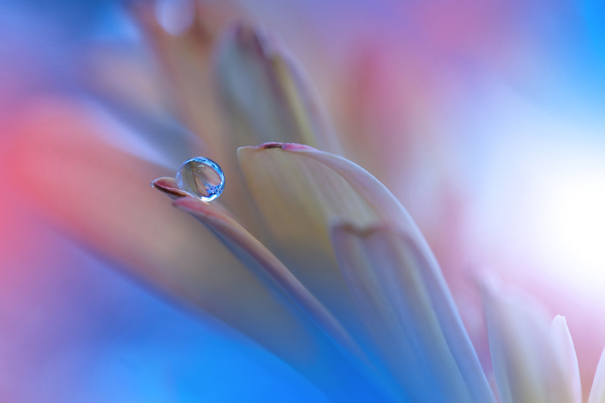 acrylic-print-touch-me-softly