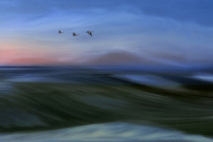 canvas-print-migrants-x