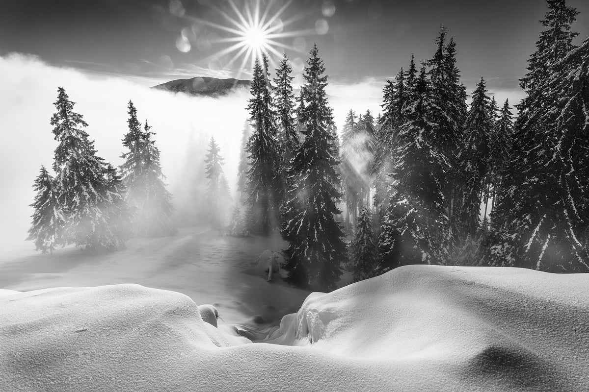 3-piece-aluminium-print-a-winter-tale