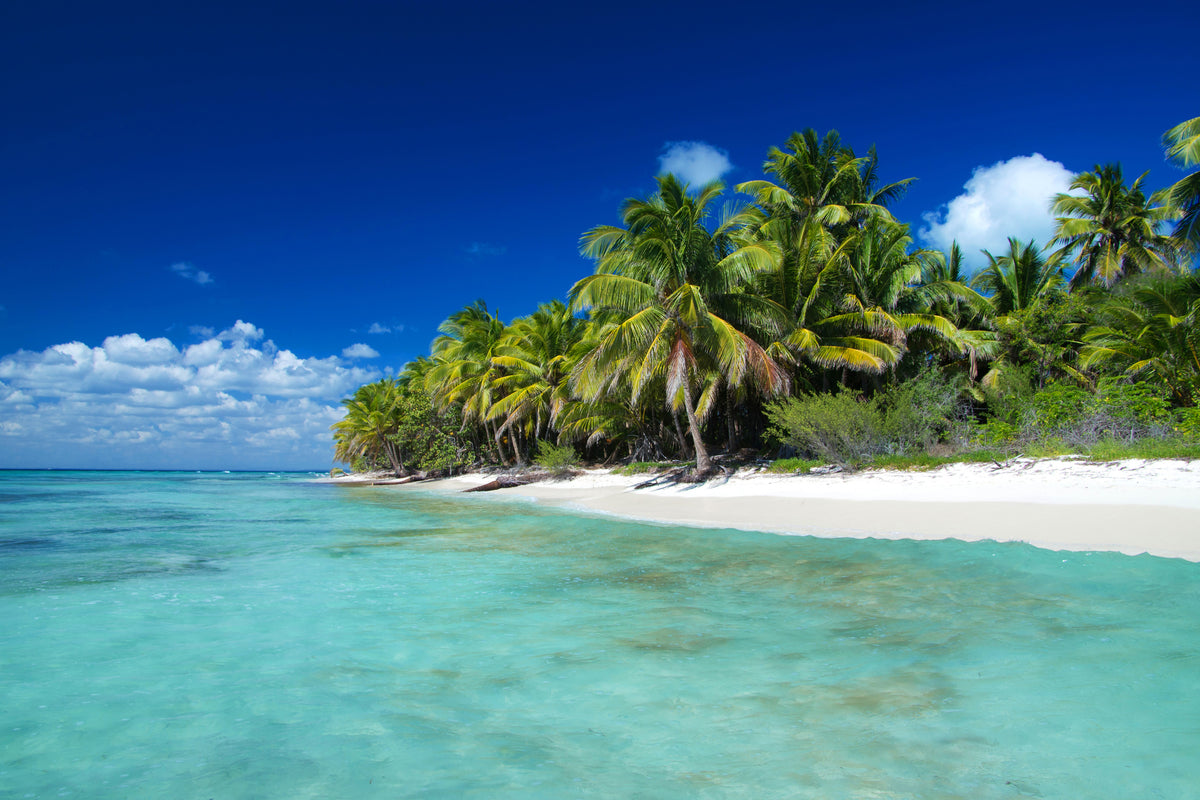framedposter-print-the-dream-island