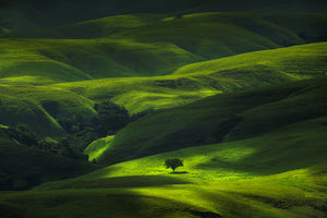 canvas-print-savana-mamboro-x