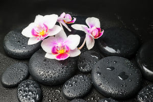 framedposter-print-feng-shui-orchid-zen