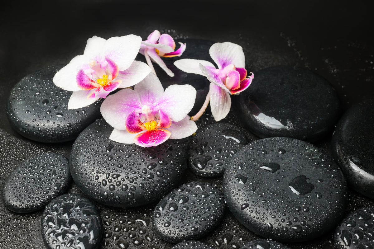 framedposter-print-feng-shui-orchid-zen