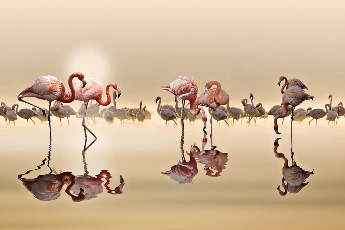 poster-print-flamingos-x