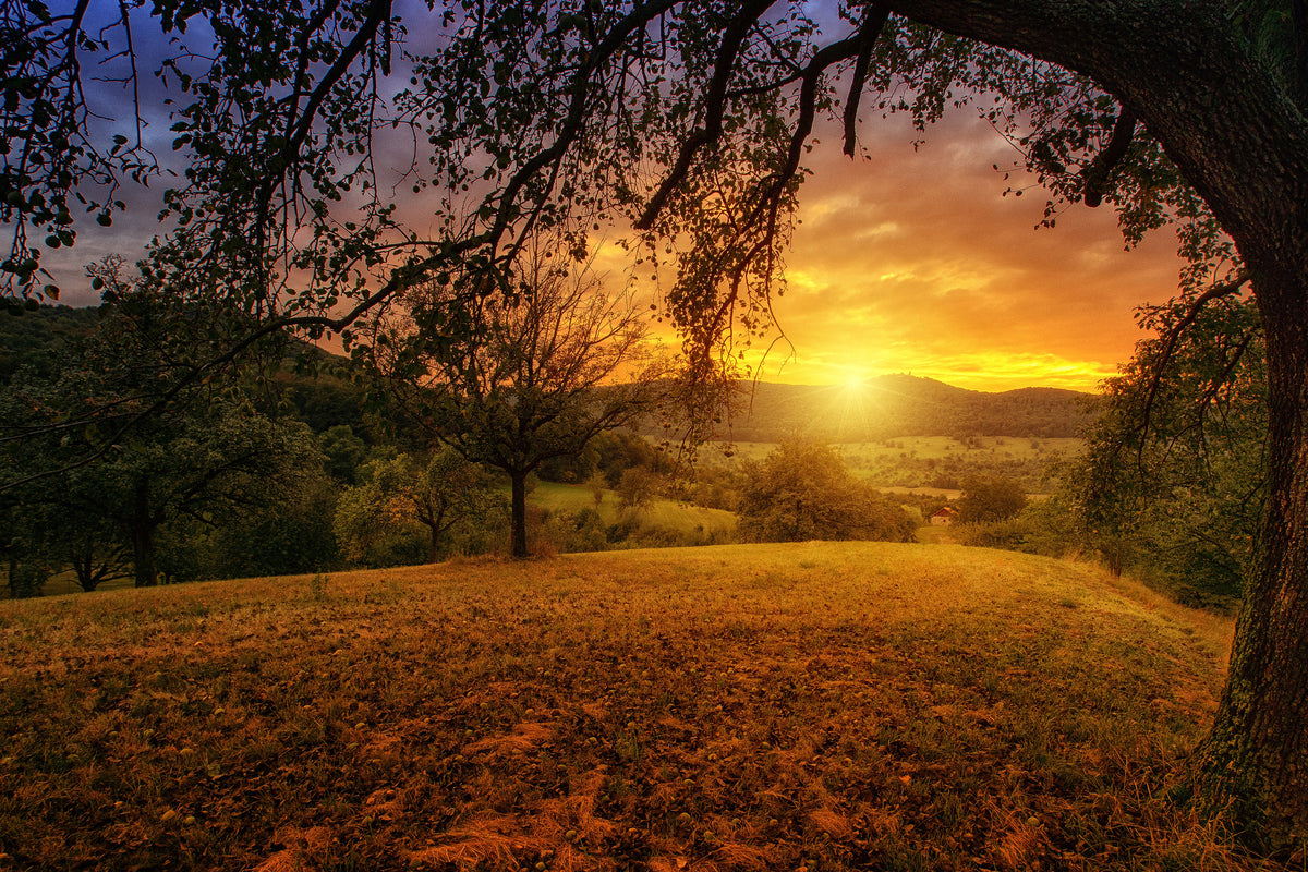 3-piece-aluminium-print-a-landscape-in-the-sunset