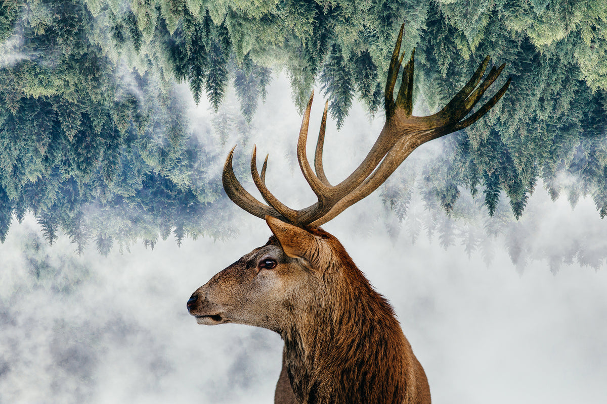 acrylic-print-the-deer-and-the-woods-x
