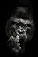 poster-print-attitude-x