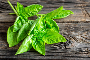 3-piece-canvas-print-basil-leaves-ii