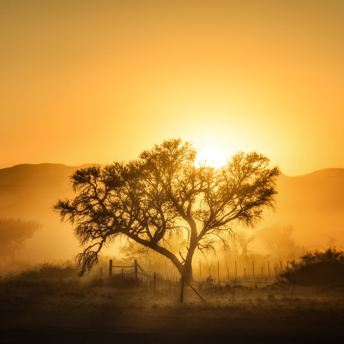 poster-print-golden-sunrise