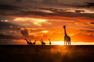 framedcanvas-print-end-of-the-day-x