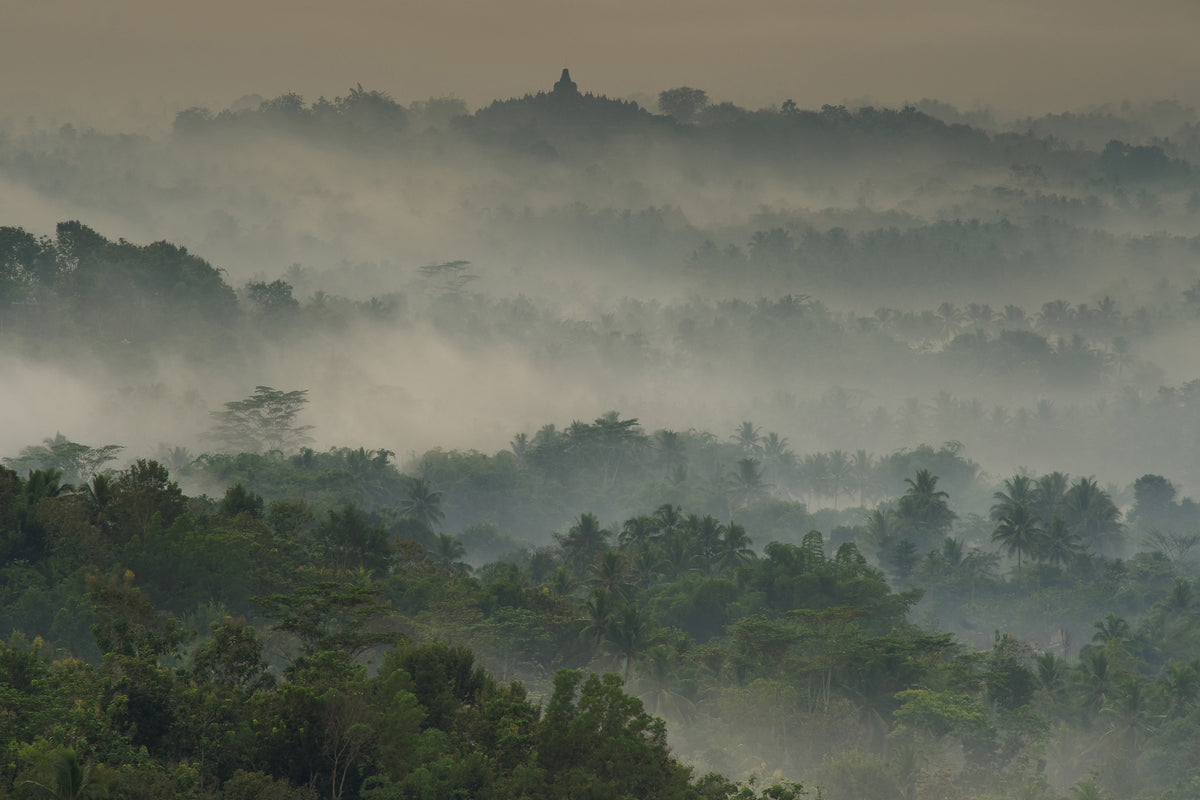 canvas-print-temple-in-the-mist