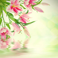 4-piece-canvas-print-lilies-on-water