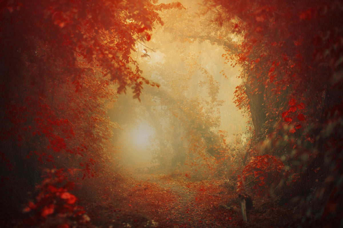3-piece-aluminium-print-personal-journey